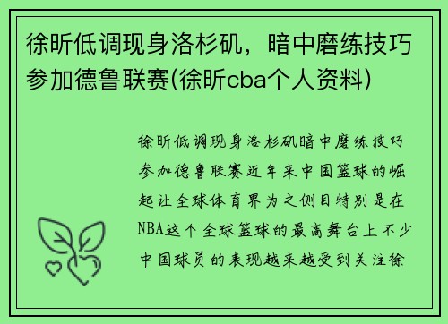徐昕低调现身洛杉矶，暗中磨练技巧参加德鲁联赛(徐昕cba个人资料)