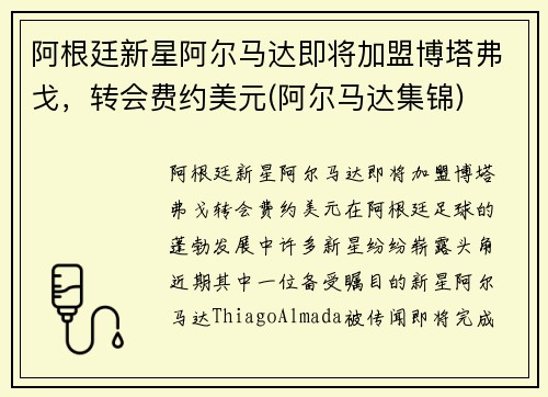 阿根廷新星阿尔马达即将加盟博塔弗戈，转会费约美元(阿尔马达集锦)