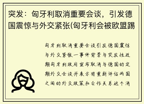 突发：匈牙利取消重要会谈，引发德国震惊与外交紧张(匈牙利会被欧盟踢出吗)