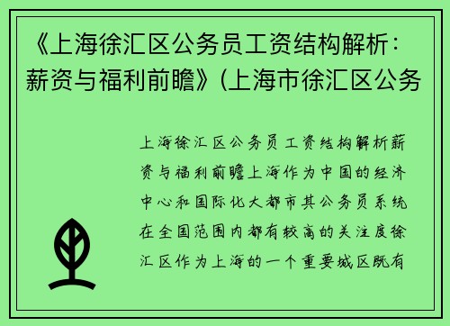 《上海徐汇区公务员工资结构解析：薪资与福利前瞻》(上海市徐汇区公务员工资)