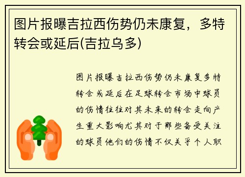 图片报曝吉拉西伤势仍未康复，多特转会或延后(吉拉乌多)